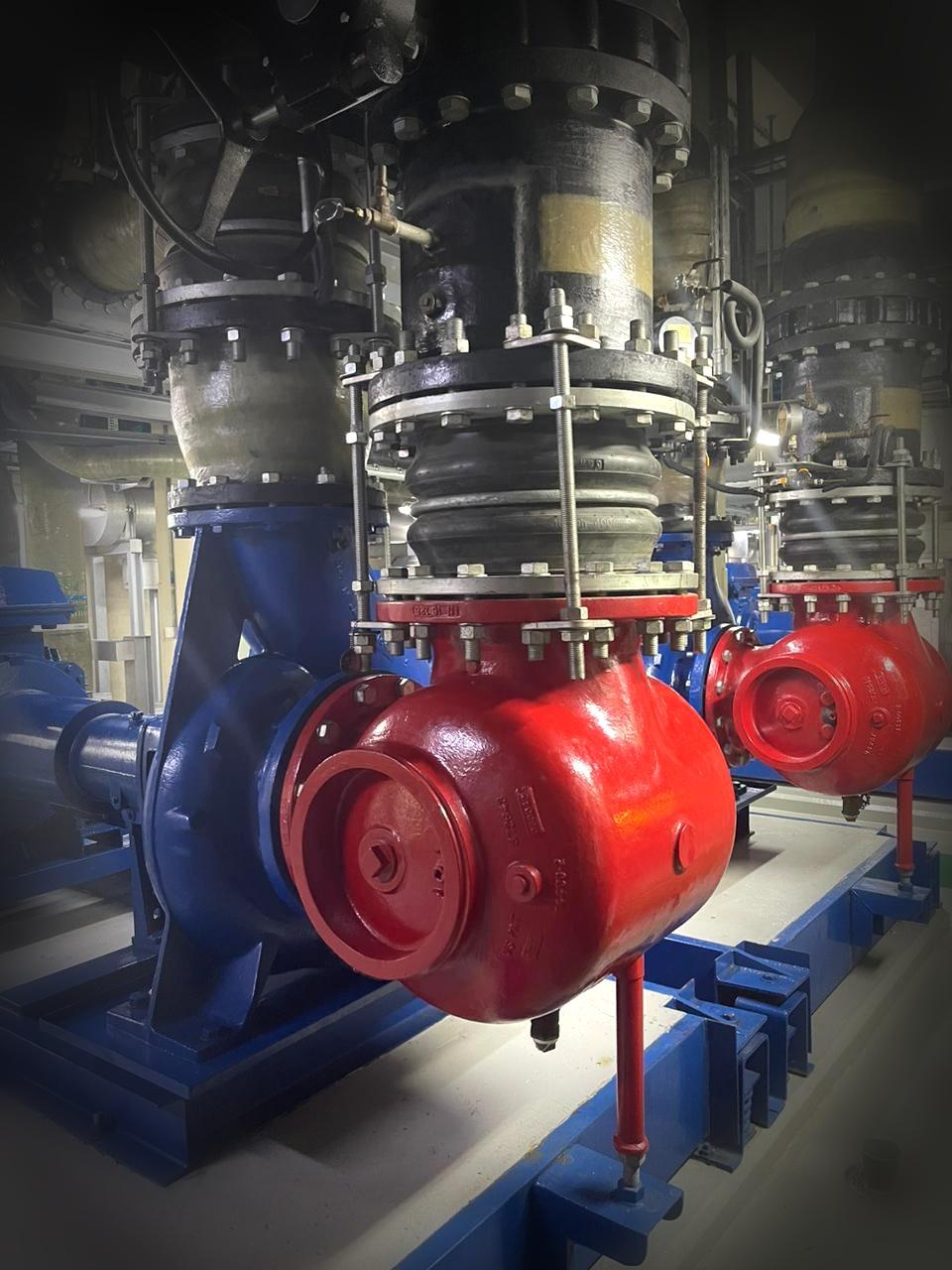 Chilled water pumps with red volute casings and blue motors installed in an HVAC plant room